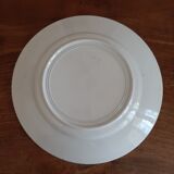 old plate