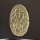Septarian nodule on stand