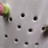 Asparagus dish in bubble