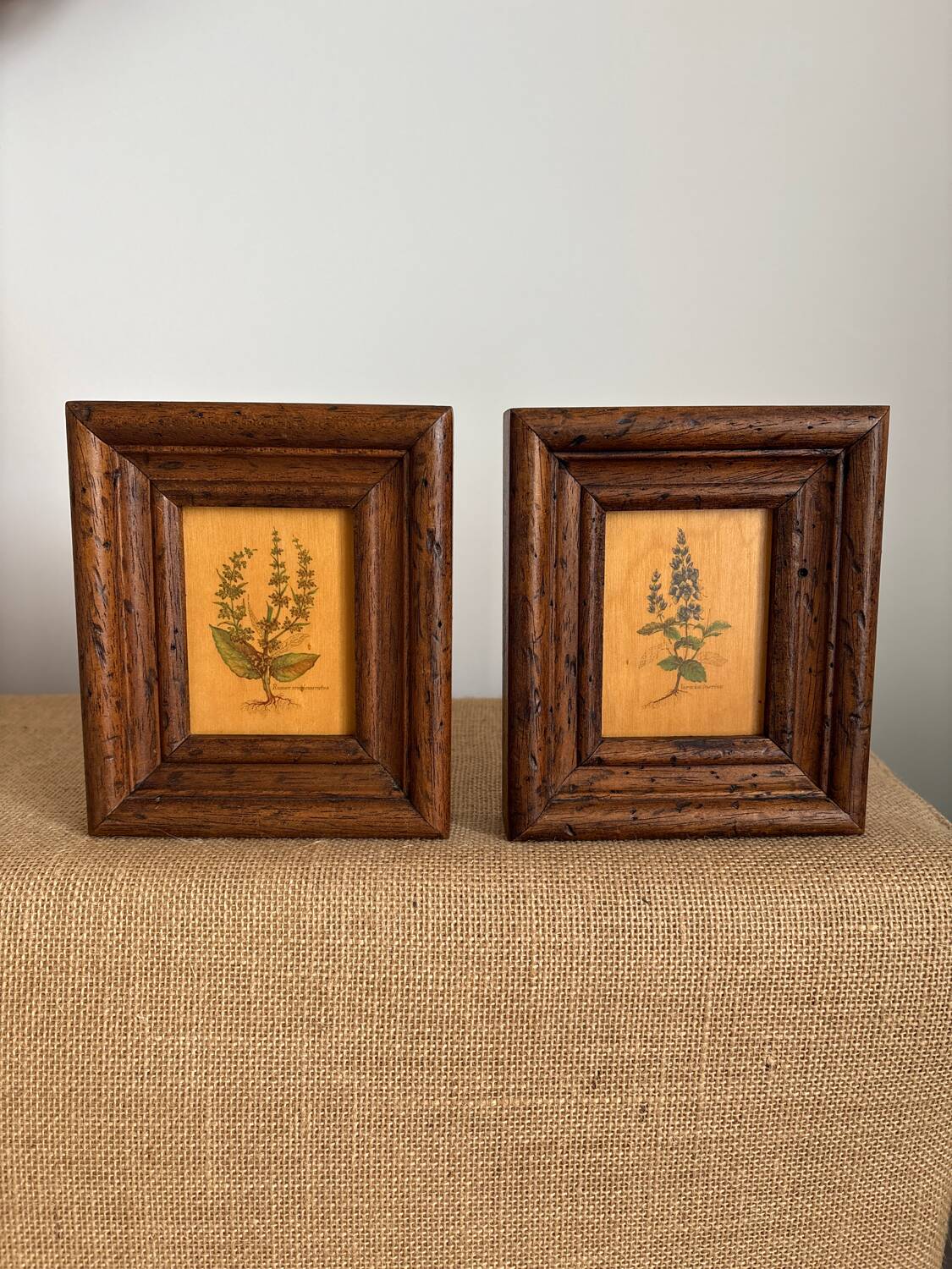 Set of 2 botanical decorative wooden frames, 13cm x 15.5cm