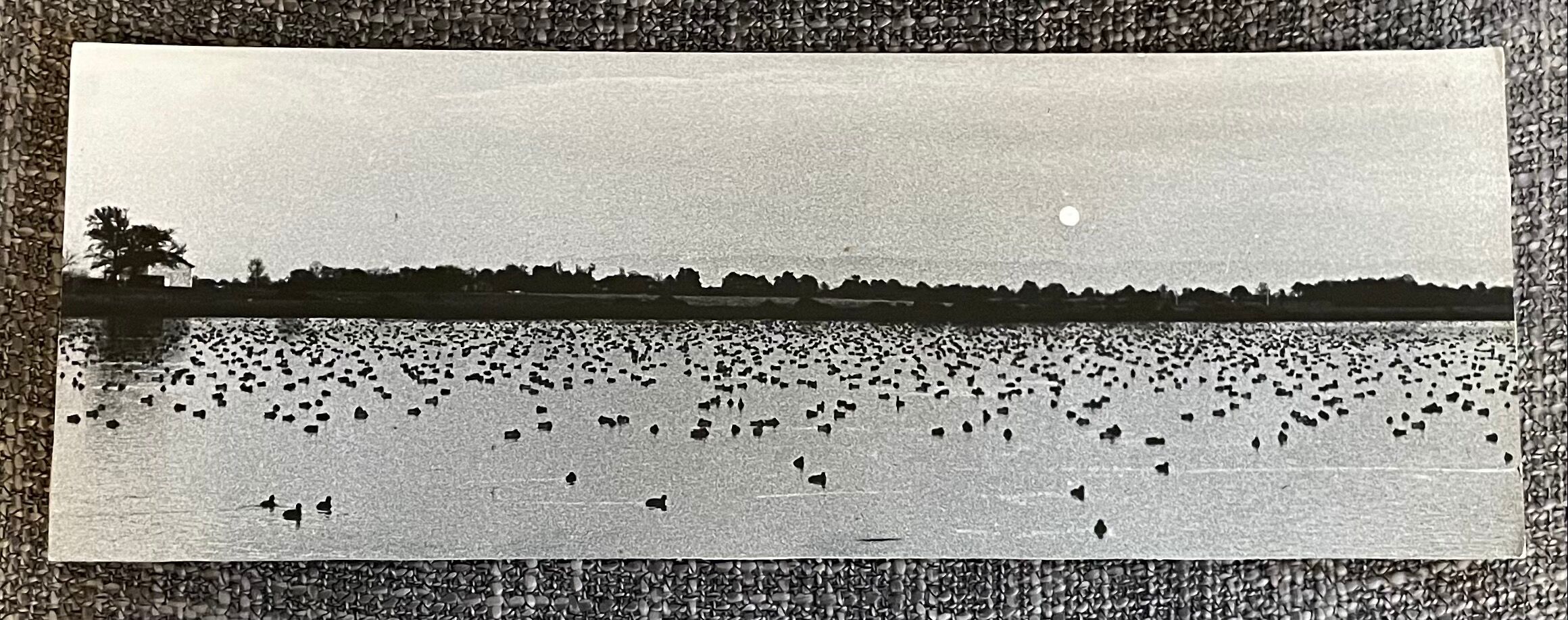 Photography silver print black and white circa 1970 sunset