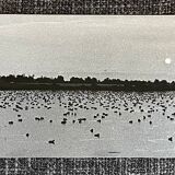 Photography silver print black and white circa 1970 sunset