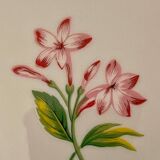 Kenzo porcelain dessert plates