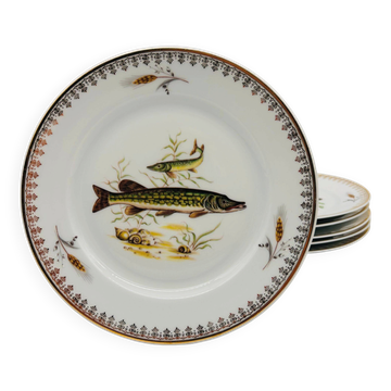 6 Limoges porcelain plates, fish pattern.