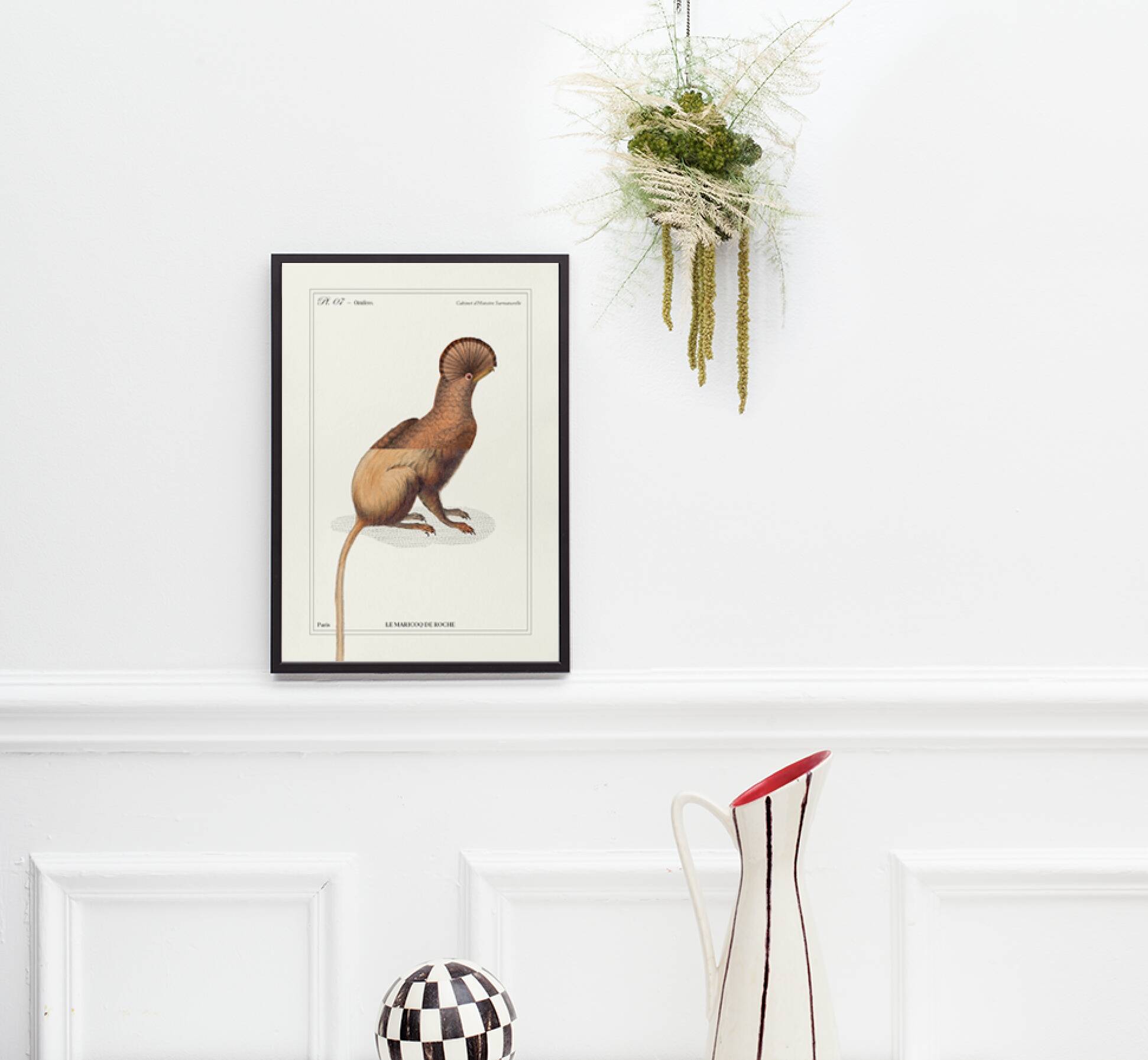 Chimera lithograph engraving animal - the maricoq