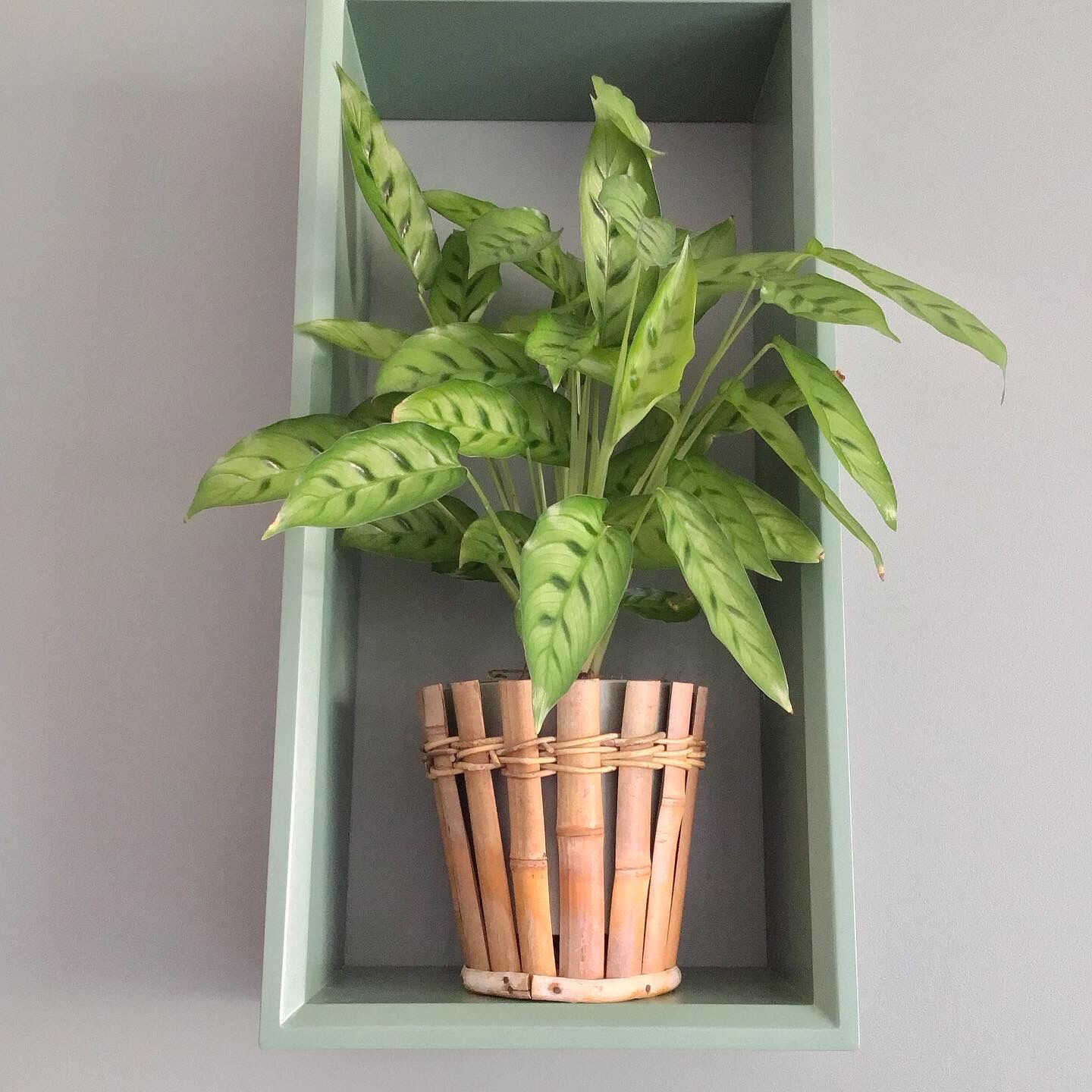 Rattan and vintage bamboo pot cover