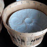 6 Pillivuyt 'Vendôme' model oyster plates