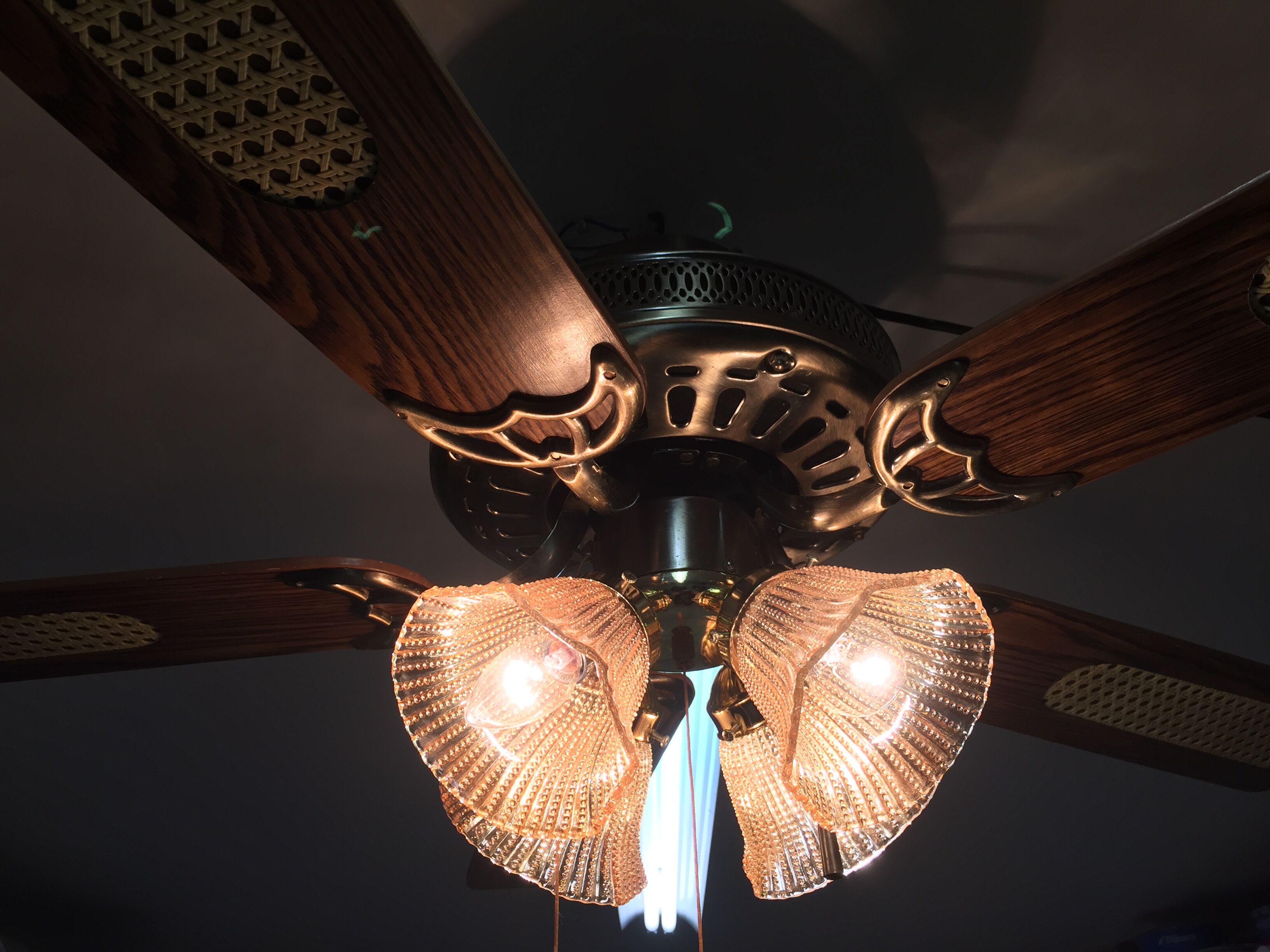ceiling fan