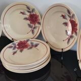 11 Flat plates flower Moulin des Loups and hamage