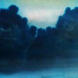 Ink landscape Between dog and wolf 9