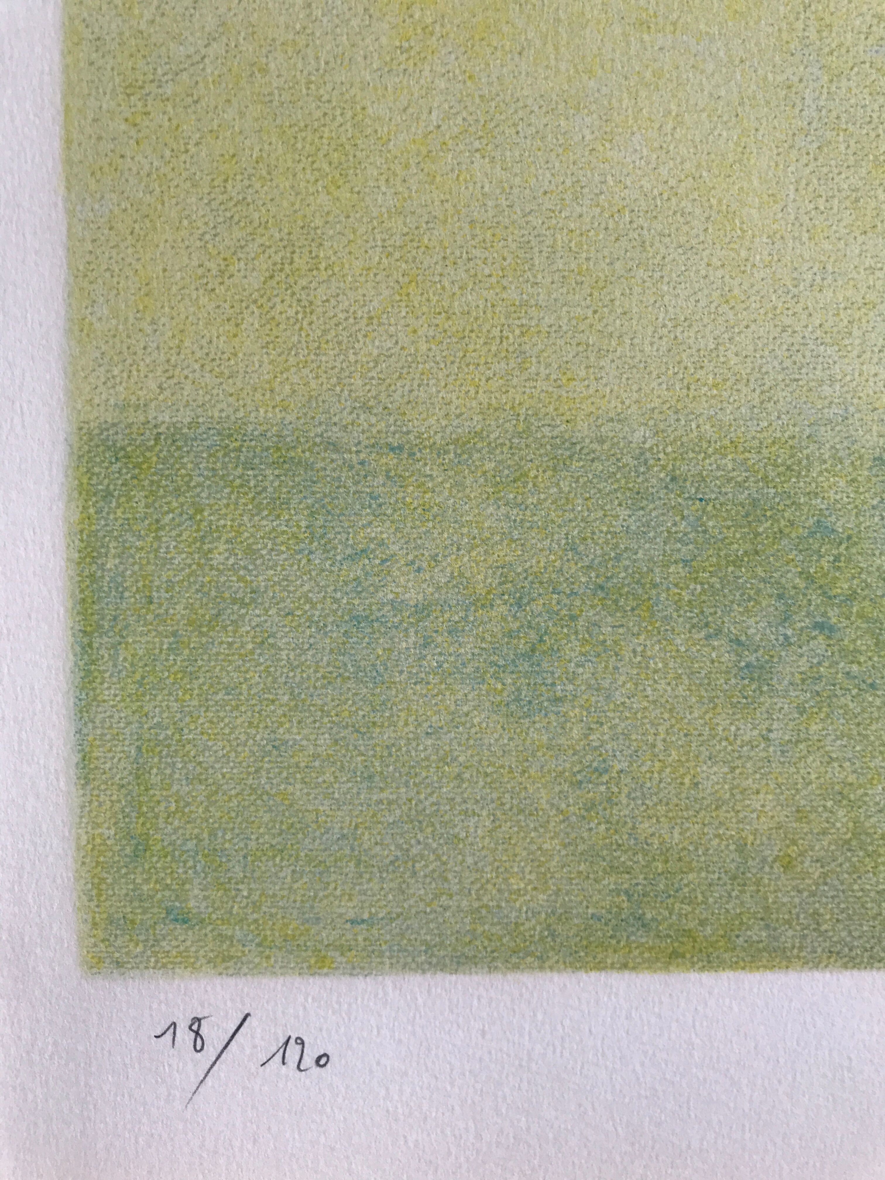 Signed and justified lithograph by pierre boncompain, untitled (tulips baroques), 1982