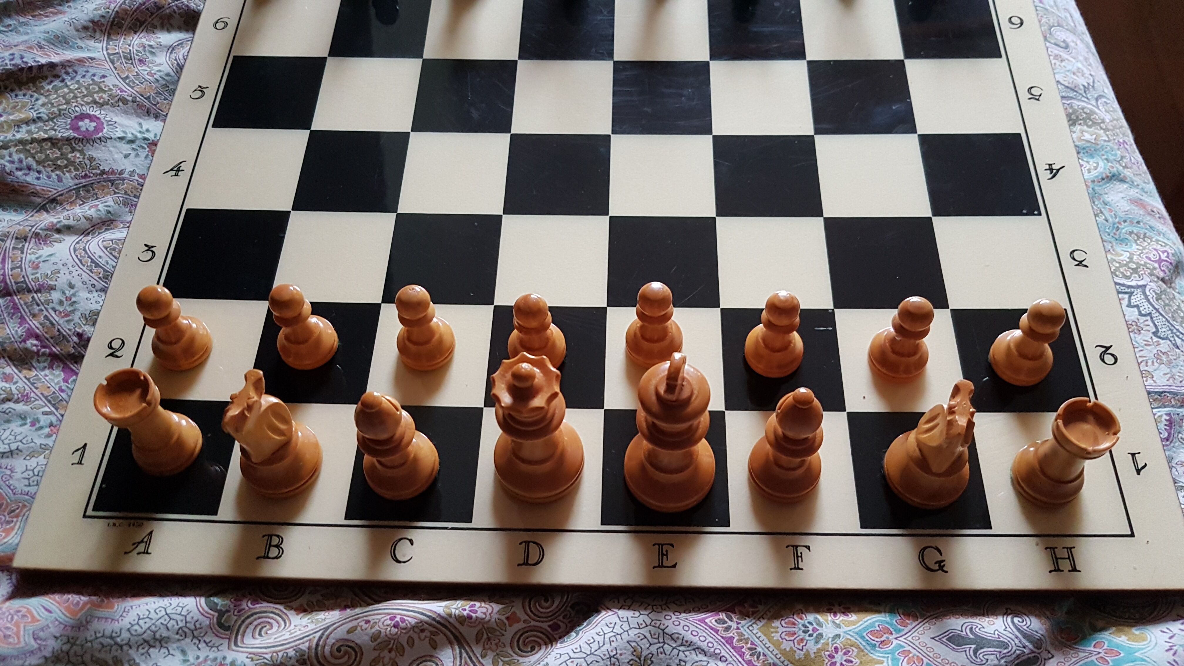 Chess game trays and coins