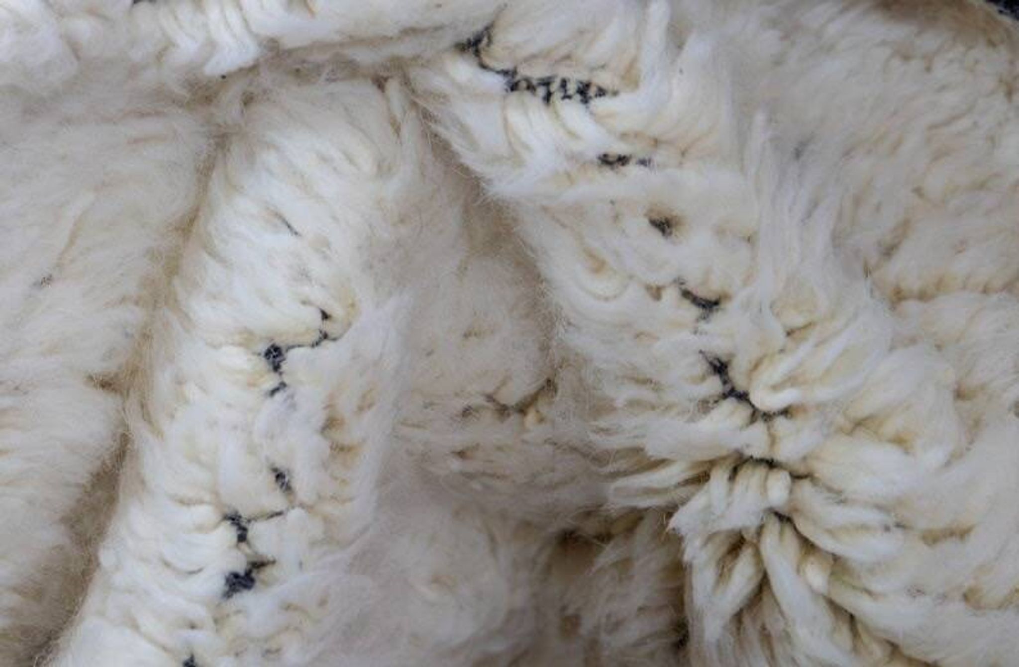 Handmade traditional Moroccan wool rug size 150x250 cm.