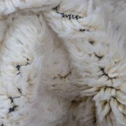 Handmade traditional Moroccan wool rug size 150x250 cm.