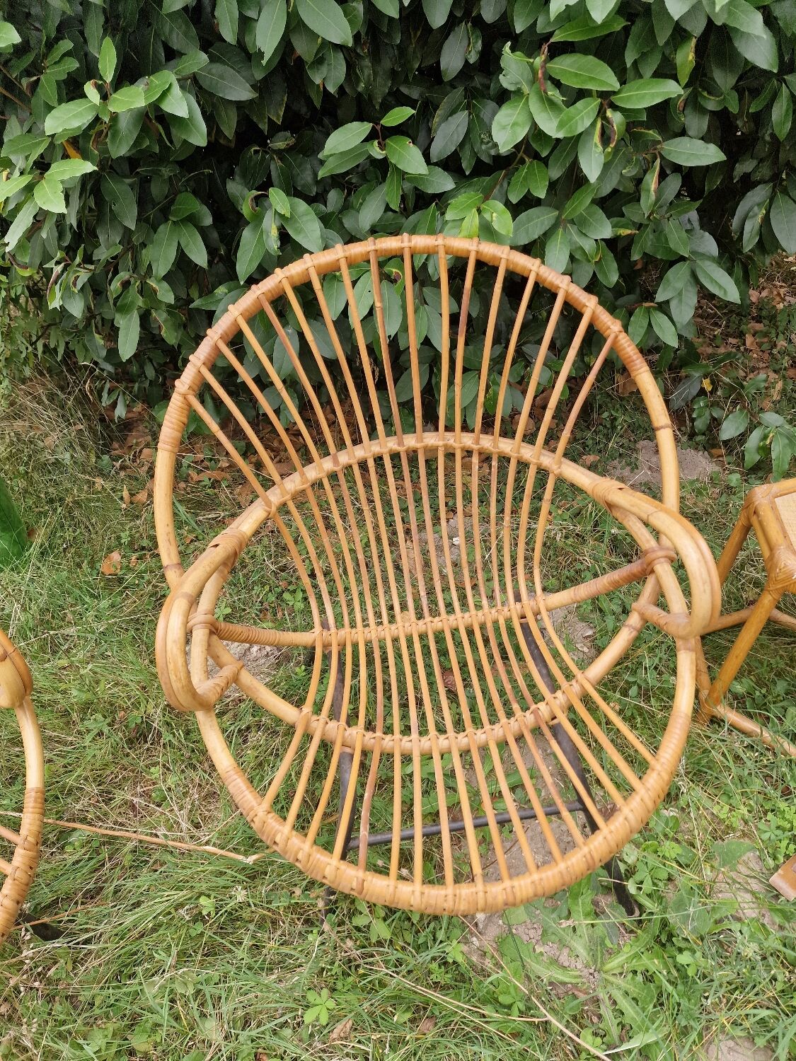 Paire de fauteuils coquille en rotin pieds acier