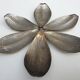 Set of 6 petals brass display