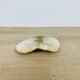 Natural Ancient White Fungia Coral