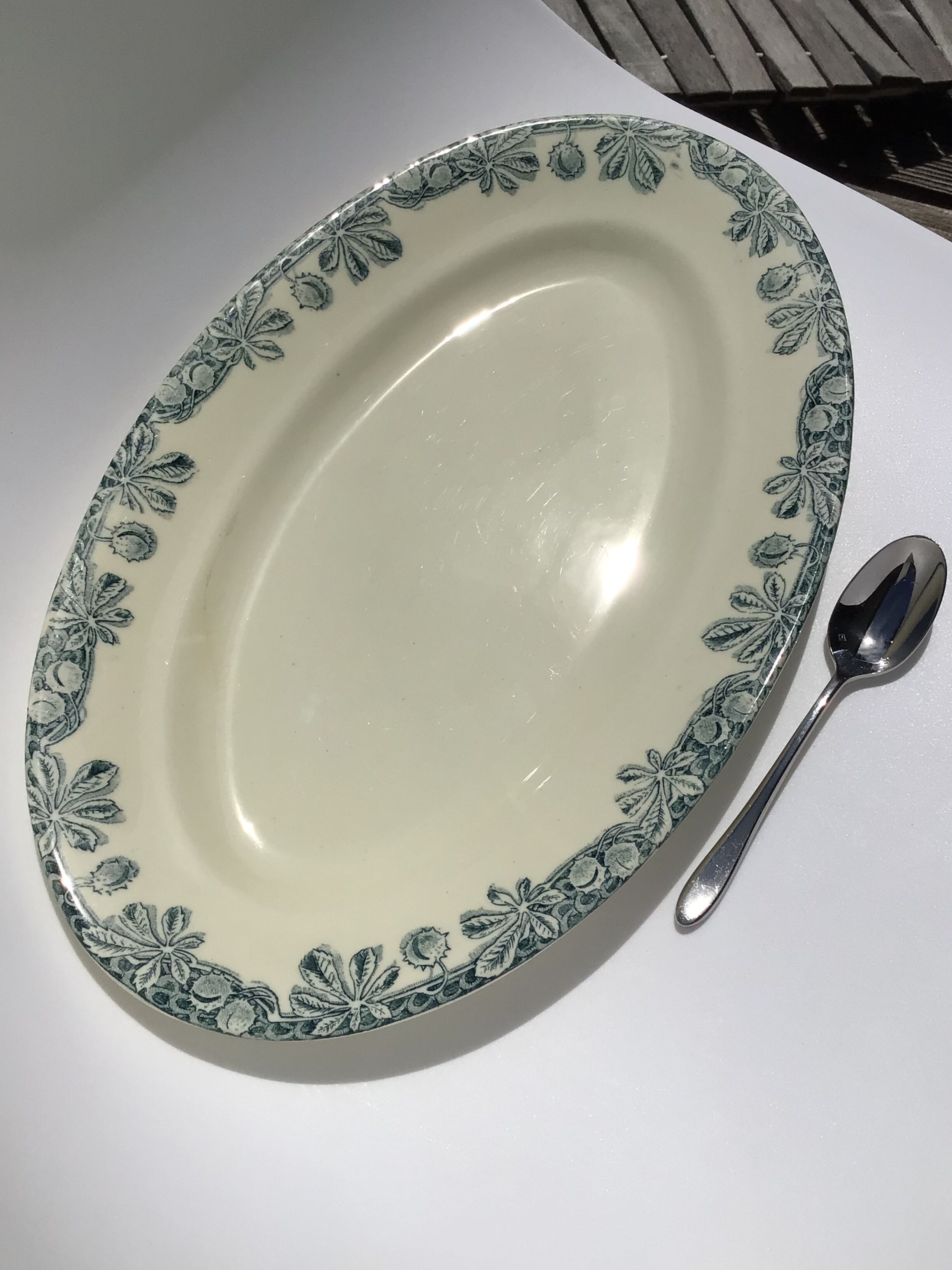 Flat Terre de Fer Salins Savoie blue grayed chestnut