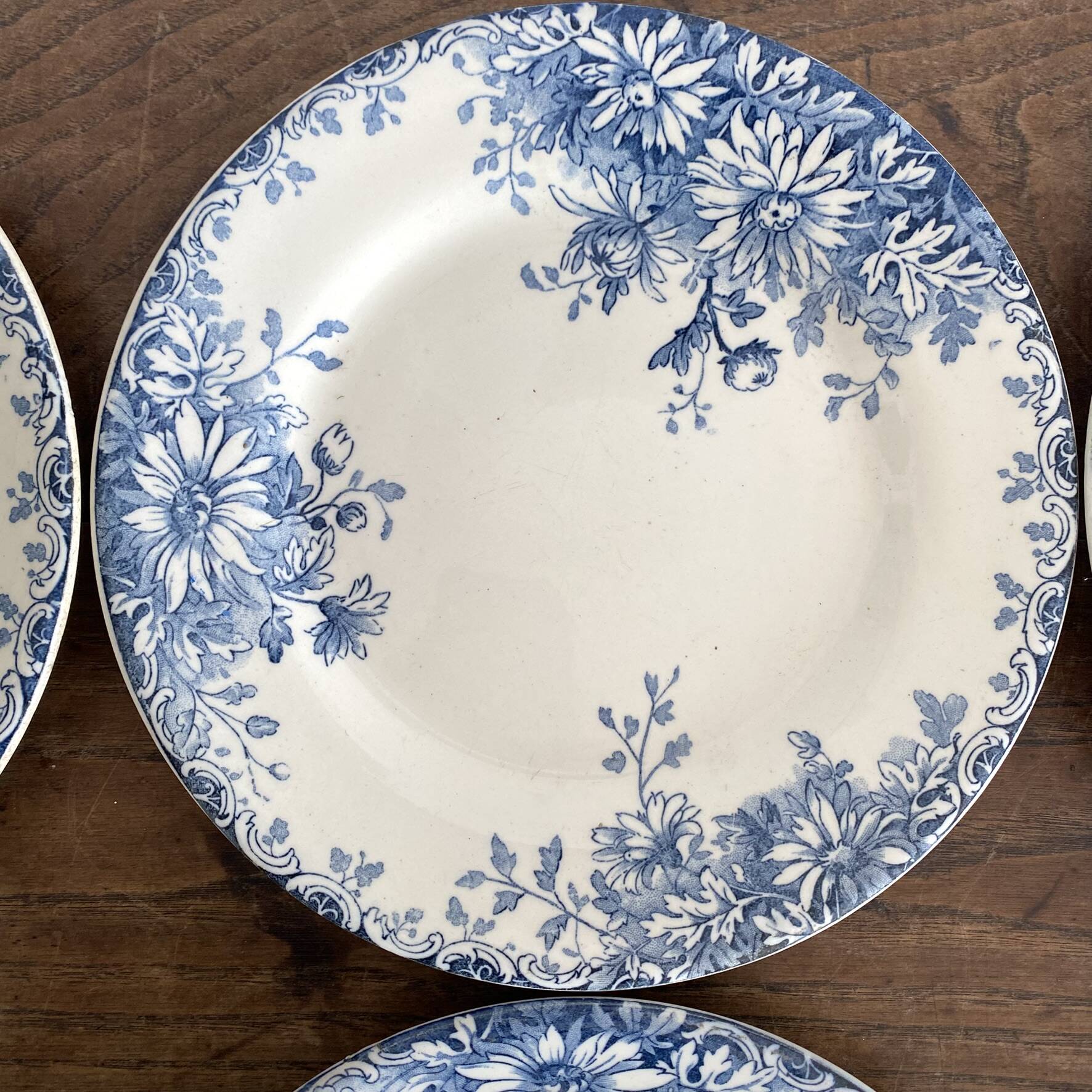 6 assiettes plates en terre de fer Gien "fleur d'automne"