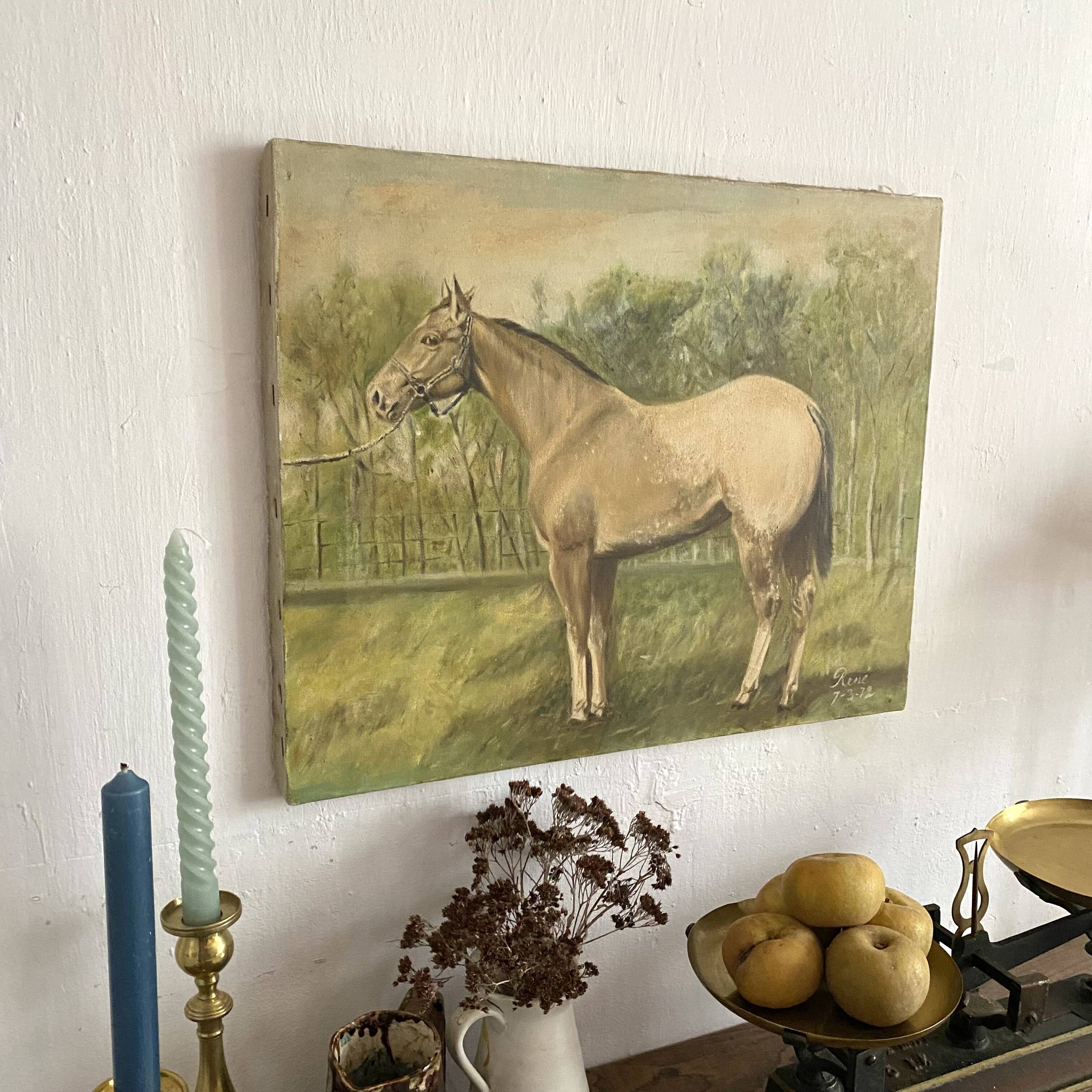 Oil painting on canvas horse