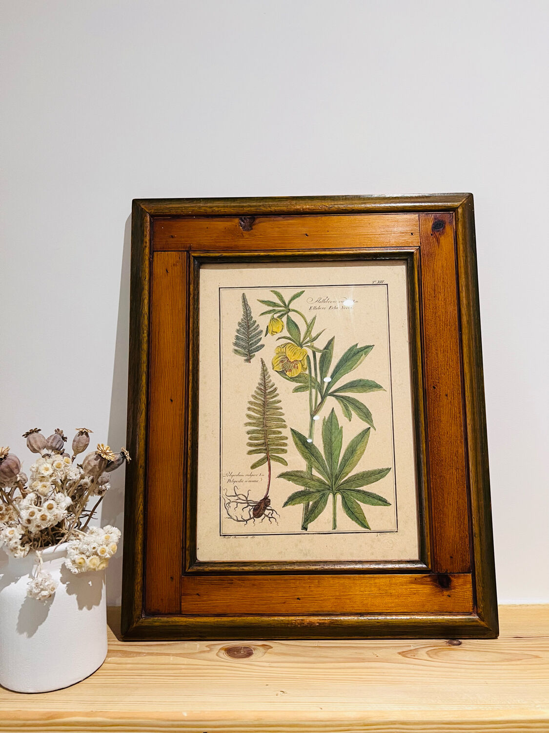 Vintage herbarium frame