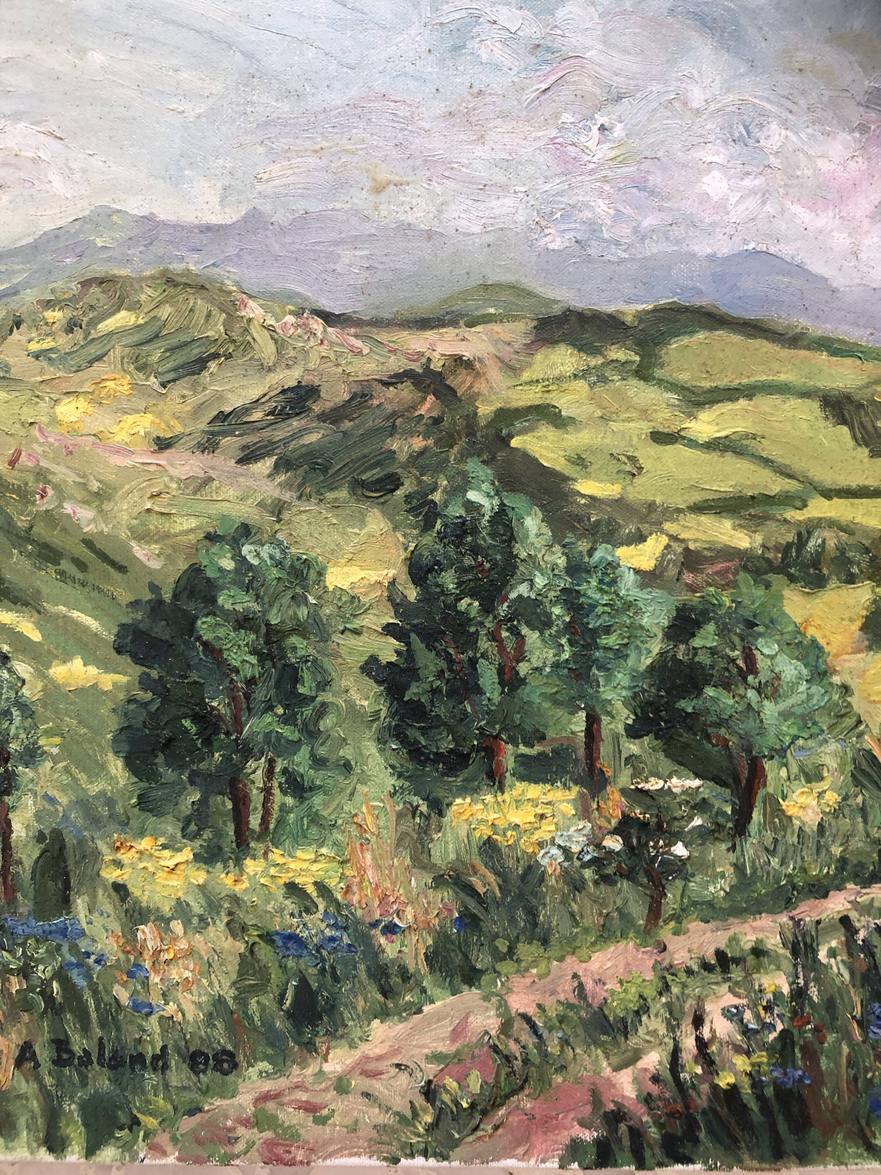 Oil on canvas pyrenees mountain landscape, signed a. baland 1988, unframed