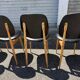 (Lot) 5 Chaises Pégase, Pierre Gurariche pour Baumann