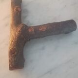 6 Hooks in walnut and apricot branches