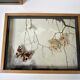 Three wooden frames with naturalized butterflies vintage 60s