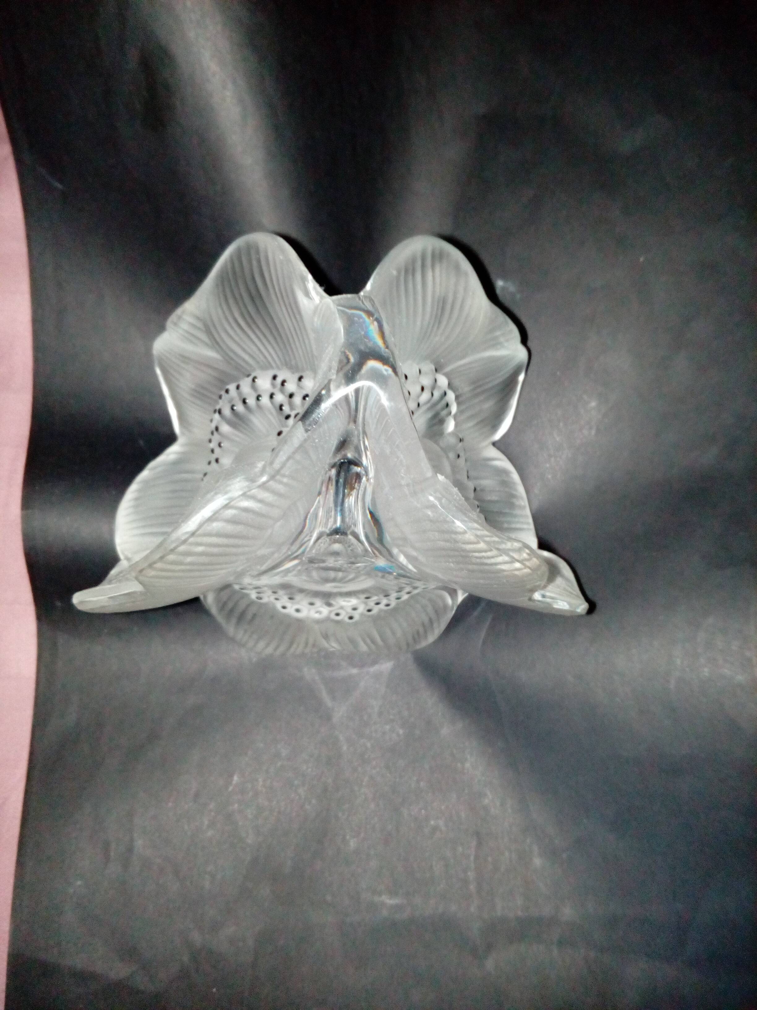 "anemone" candlestick Lalique France