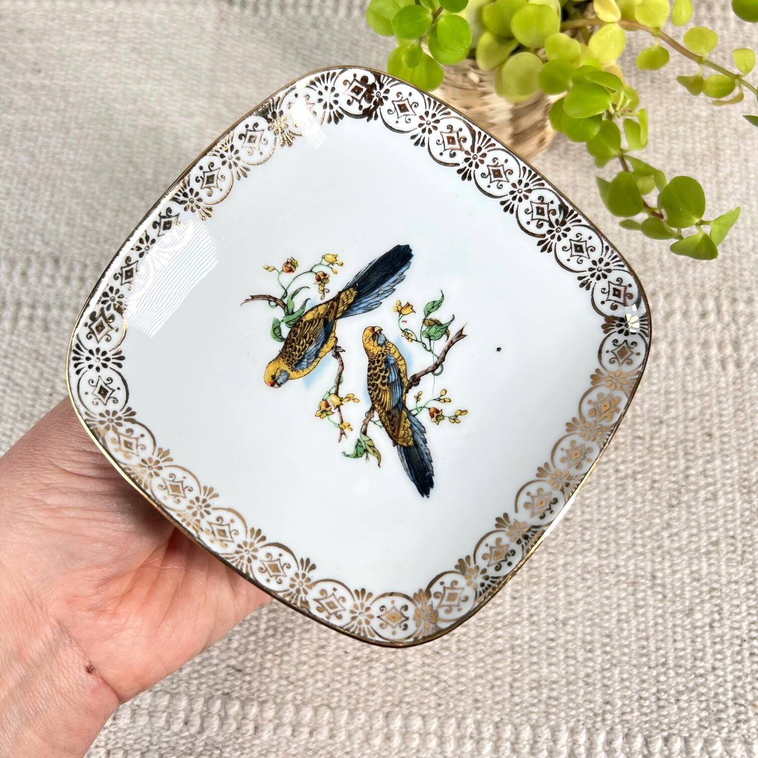 Empty pocket Limoges “duo of parakeets”