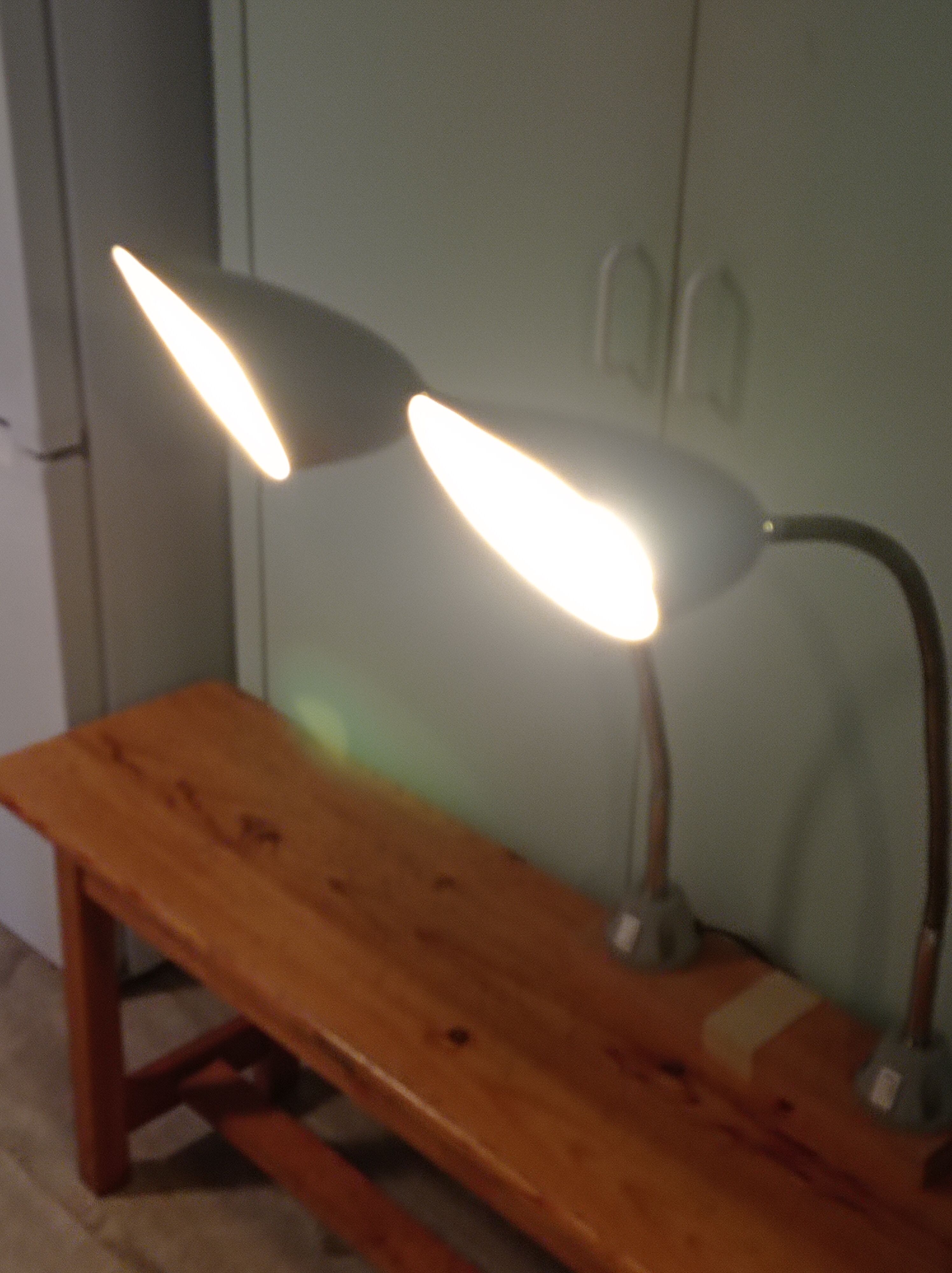 Pair of flexible industrial lamps