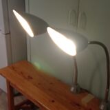 Pair of flexible industrial lamps