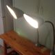 Paire de lampes industrielles flexibles