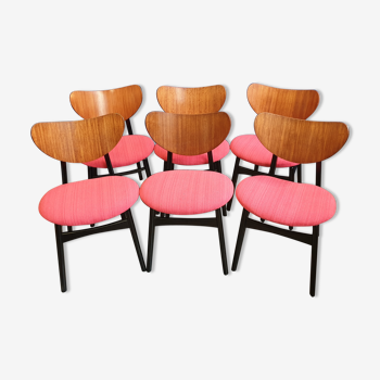 Six chaises papillon g plan des années 1950