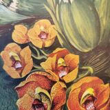 Orchid botanical board