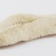 White sponge coral