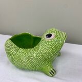 Big Frog Jean Roger