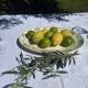 Large antique serving dish Sarreguemines Palmyre – floral earthenware v