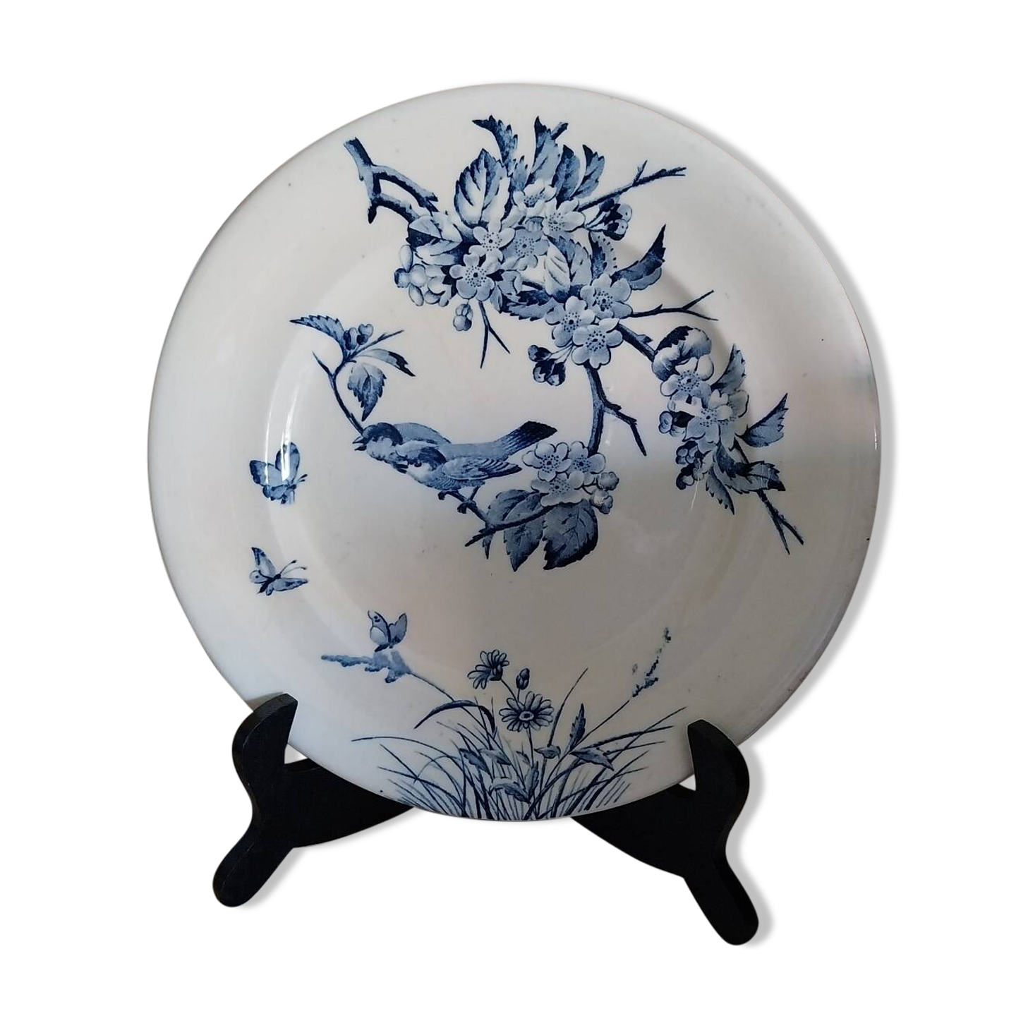 Old flat plate ironstone