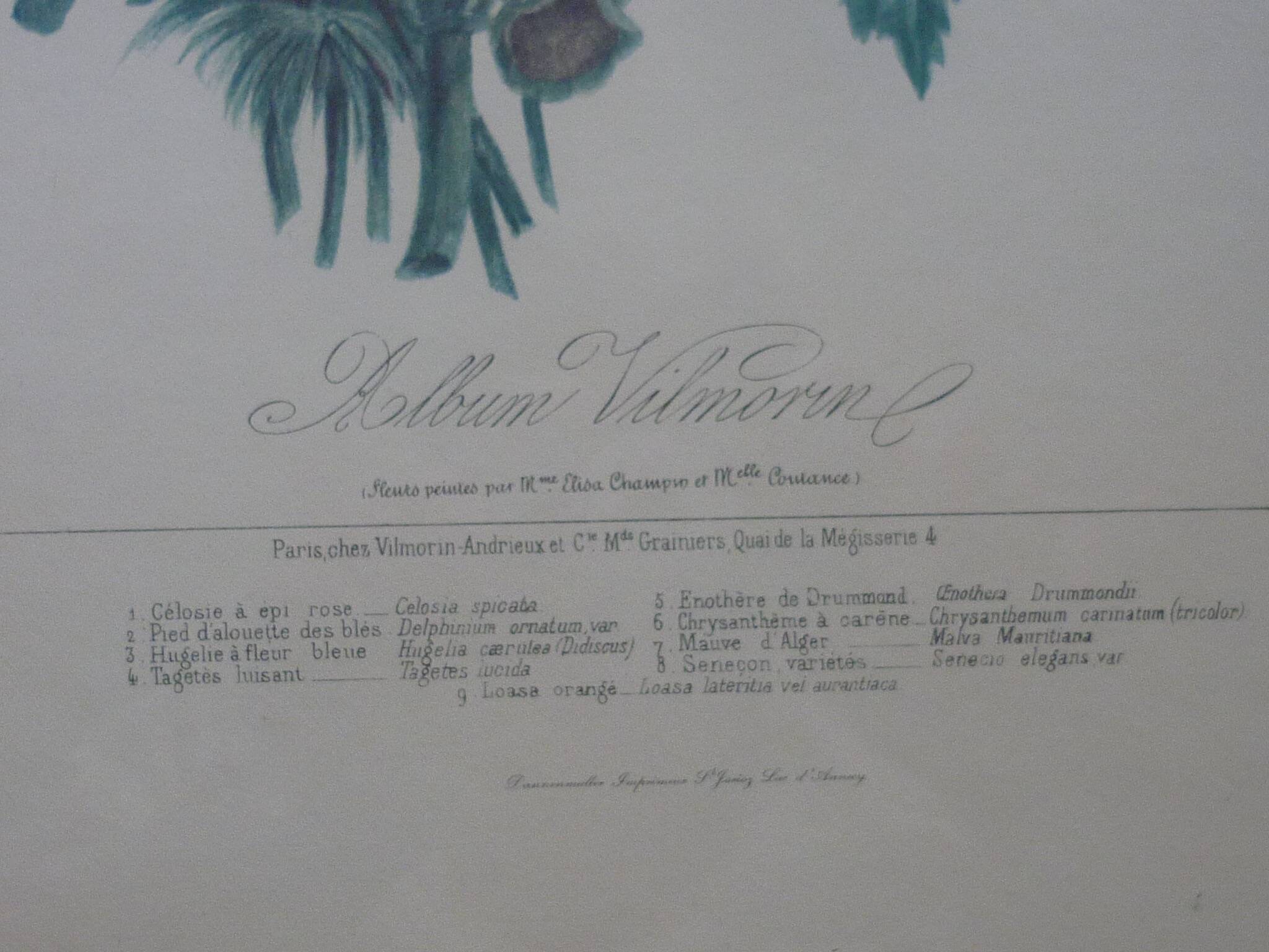 Framed Vilmorin lithograph, bouquet No 7, 1857, E. Champin