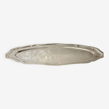Stainless steel fish dish