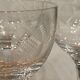 Set of 5 engraved glasses