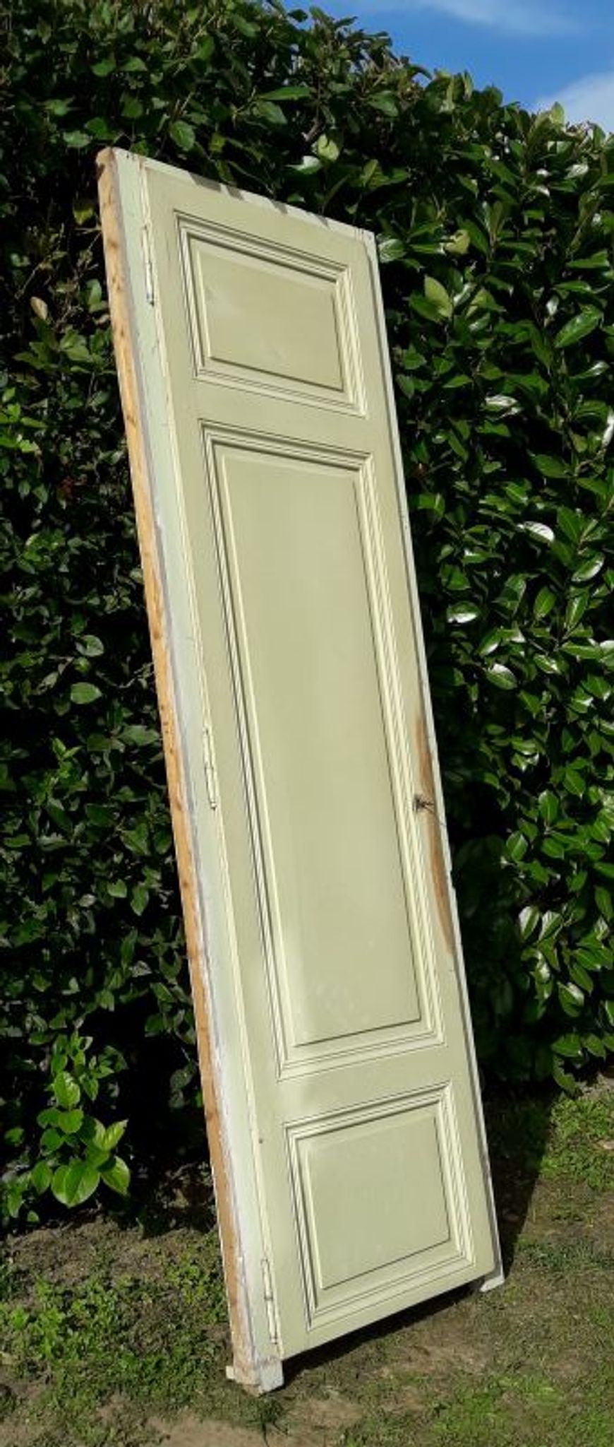 Porte 67.2x237.2cm de placard et son cadre