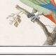 Small poster about the parakeet, after an old engraving from 1610.