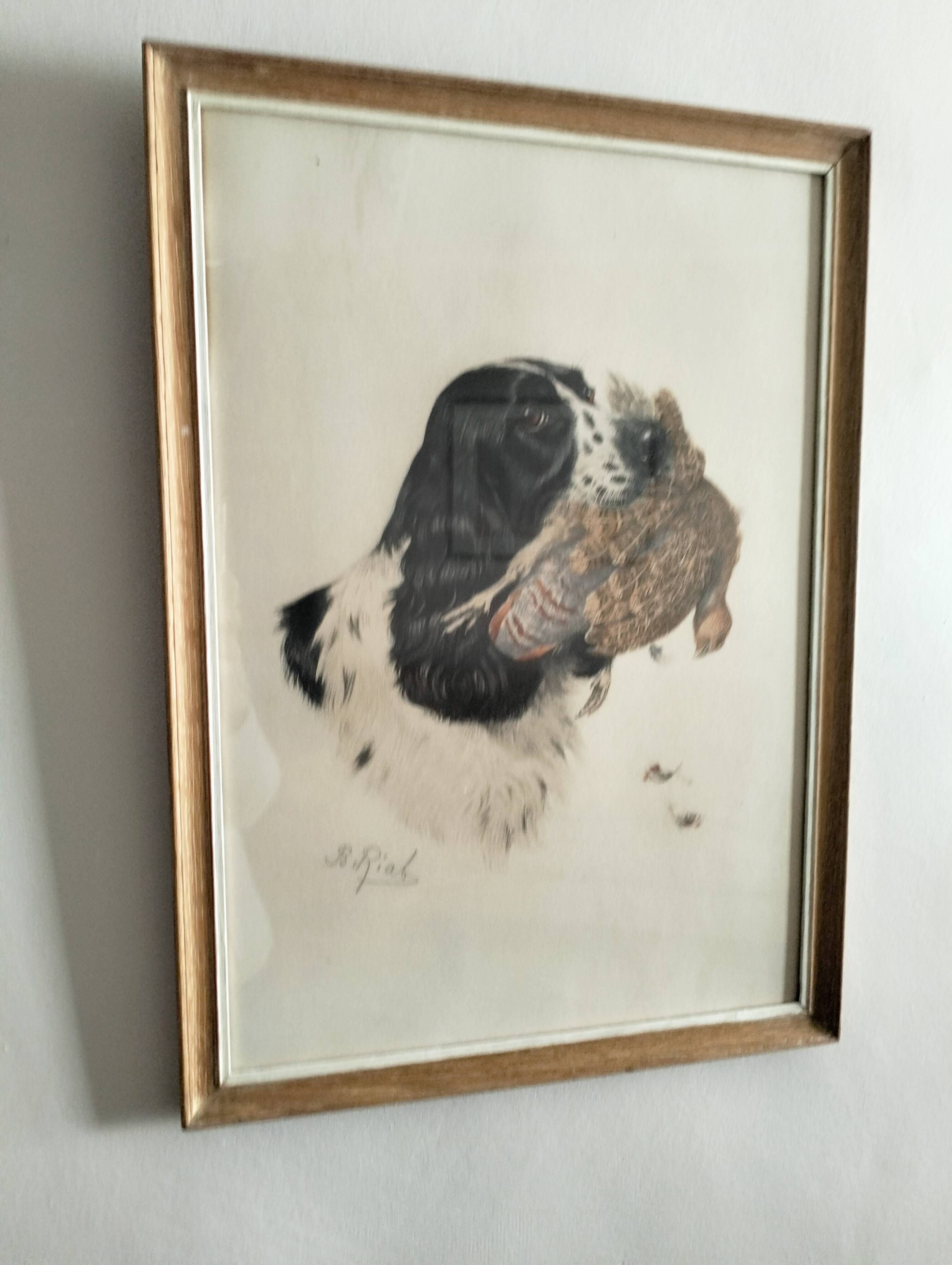Animal lithograph