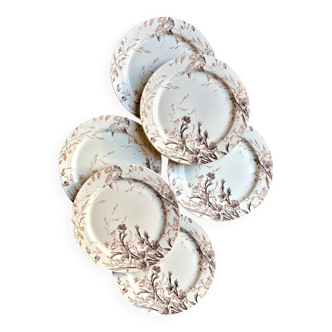 6 dessert plates in iron earth from Creil and Montereau, "Glaïeul" service