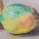 Oil painting still life with two lemons 1960 signed