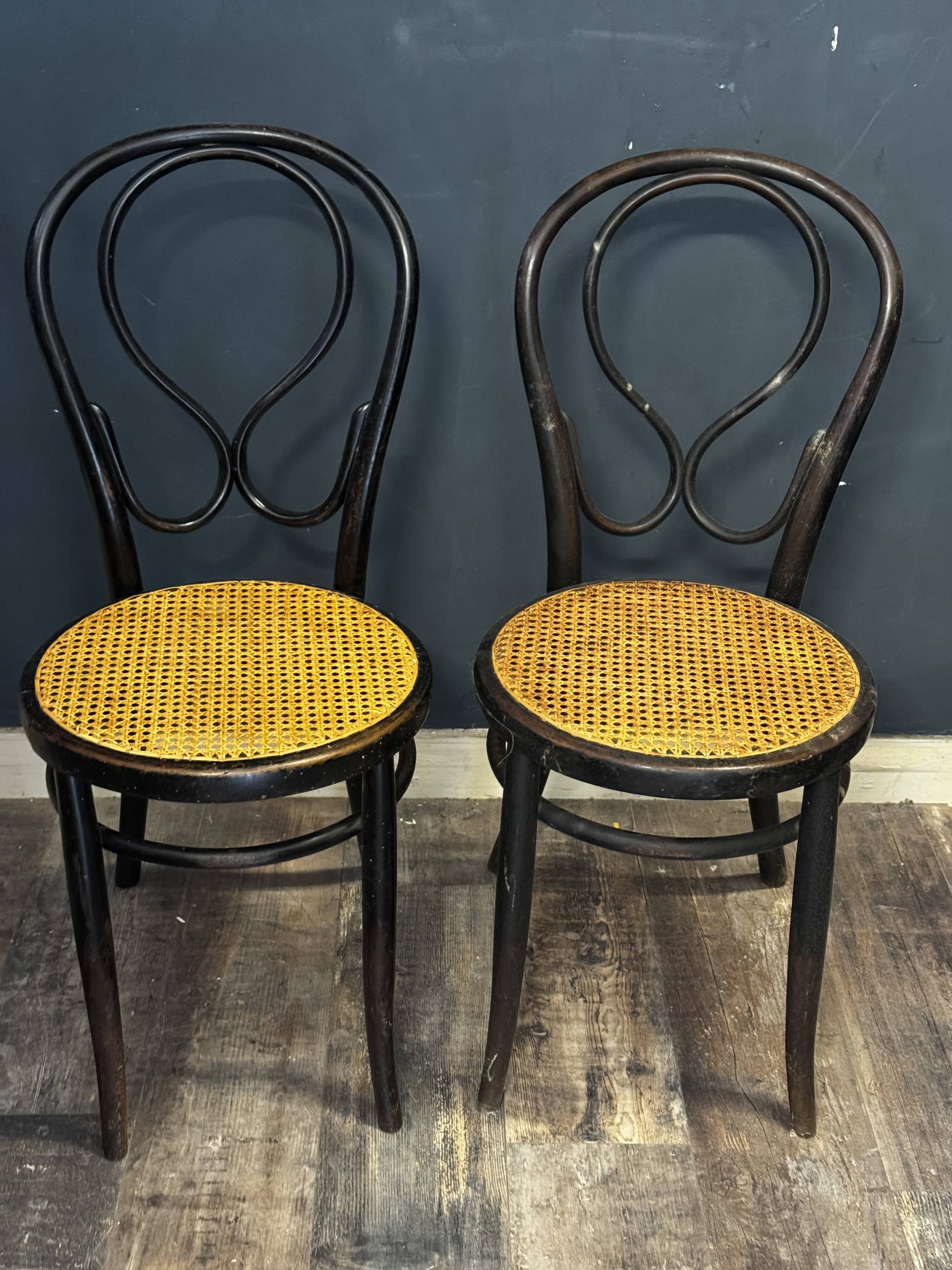 Pair of Thonet chairs - new caning