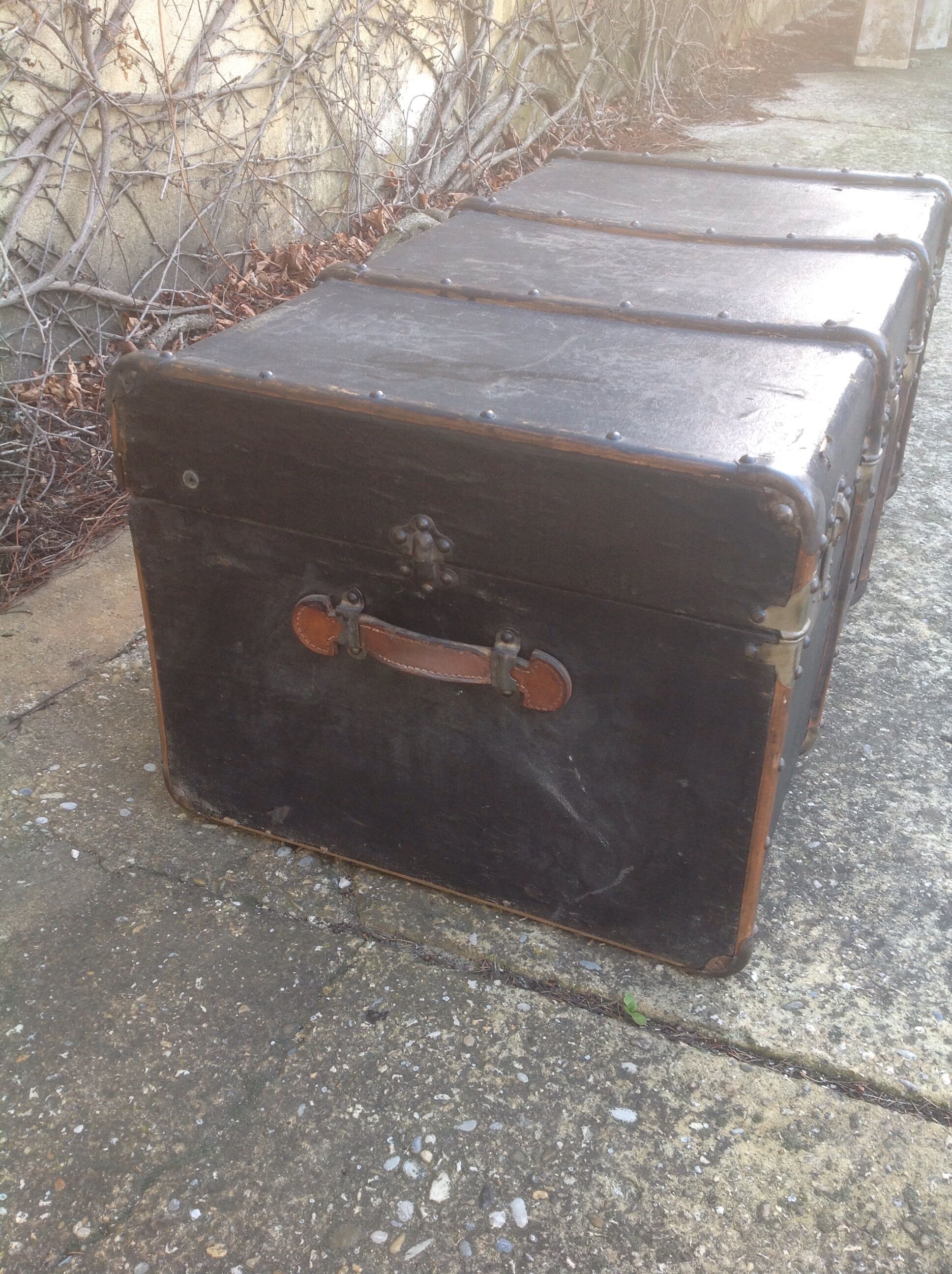 Travel trunk